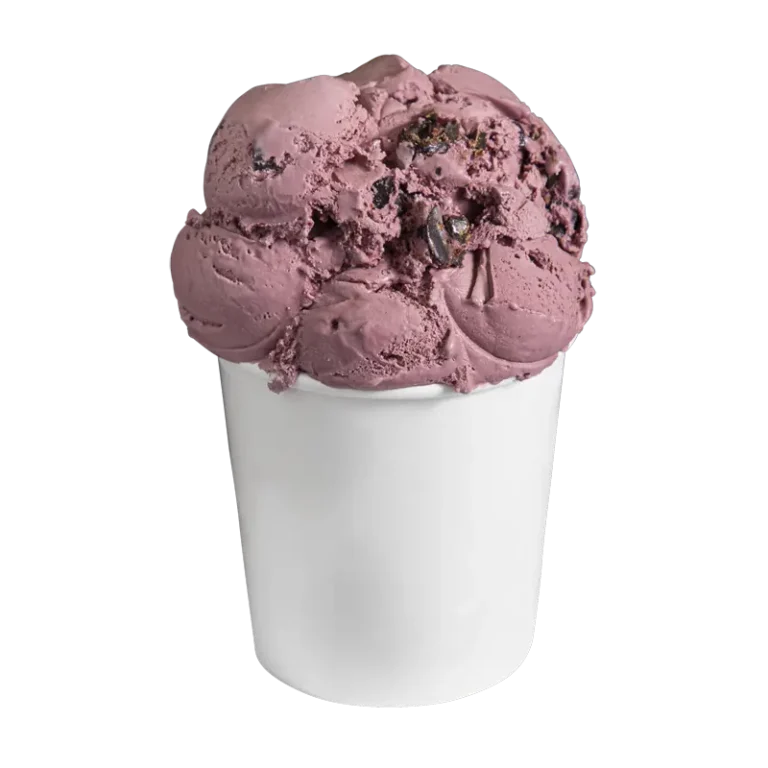 Black raspberry ice cream with rich chocolate raspberry truffles